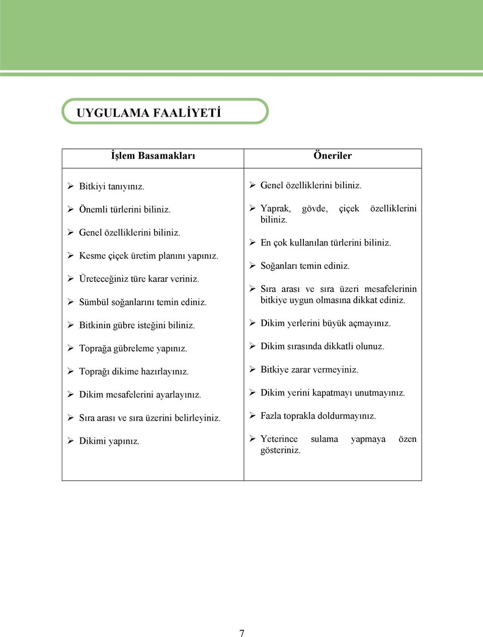 Sıra arası ve sıra üzerini belirleyiniz. Dikimi yapınız. Genel özelliklerini biliniz. Yaprak, gövde, çiçek özelliklerini biliniz. En çok kullanılan türlerini biliniz. Soğanları temin ediniz.