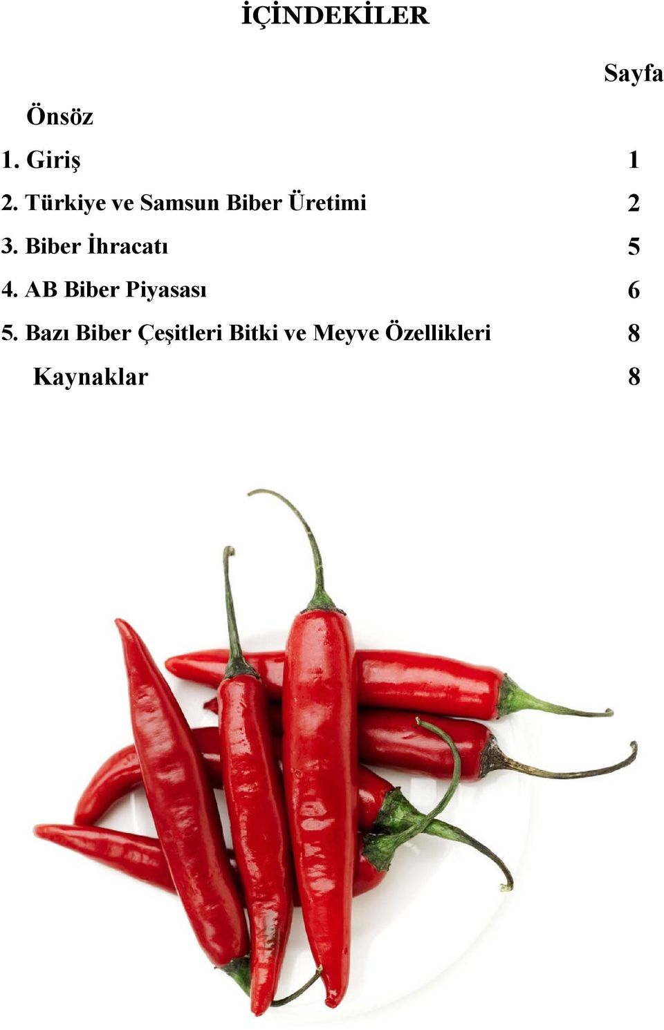 Biber İhracatı 5 4. AB Biber Piyasası 6 5.