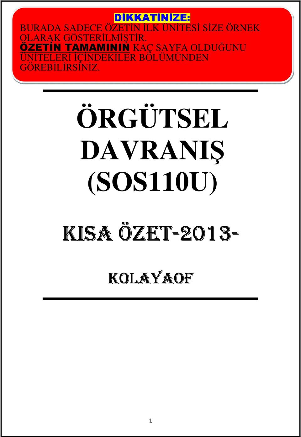 ÖZETİN TAMAMININ KAÇ SAYFA OLDUĞUNU ÜNİTELERİ