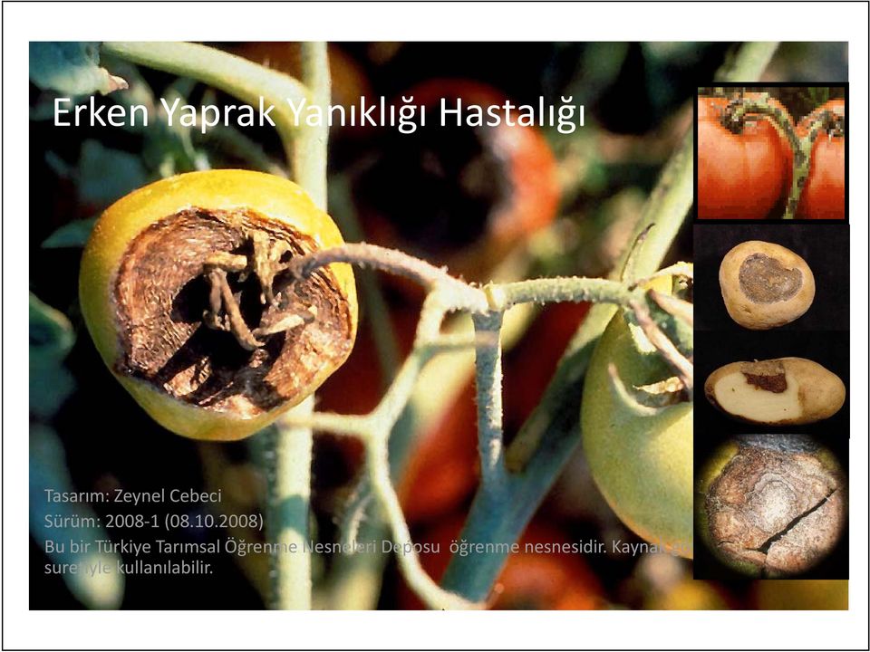 2008) Bu bir Türkiye Tarımsal Öğrenme Nesneleri