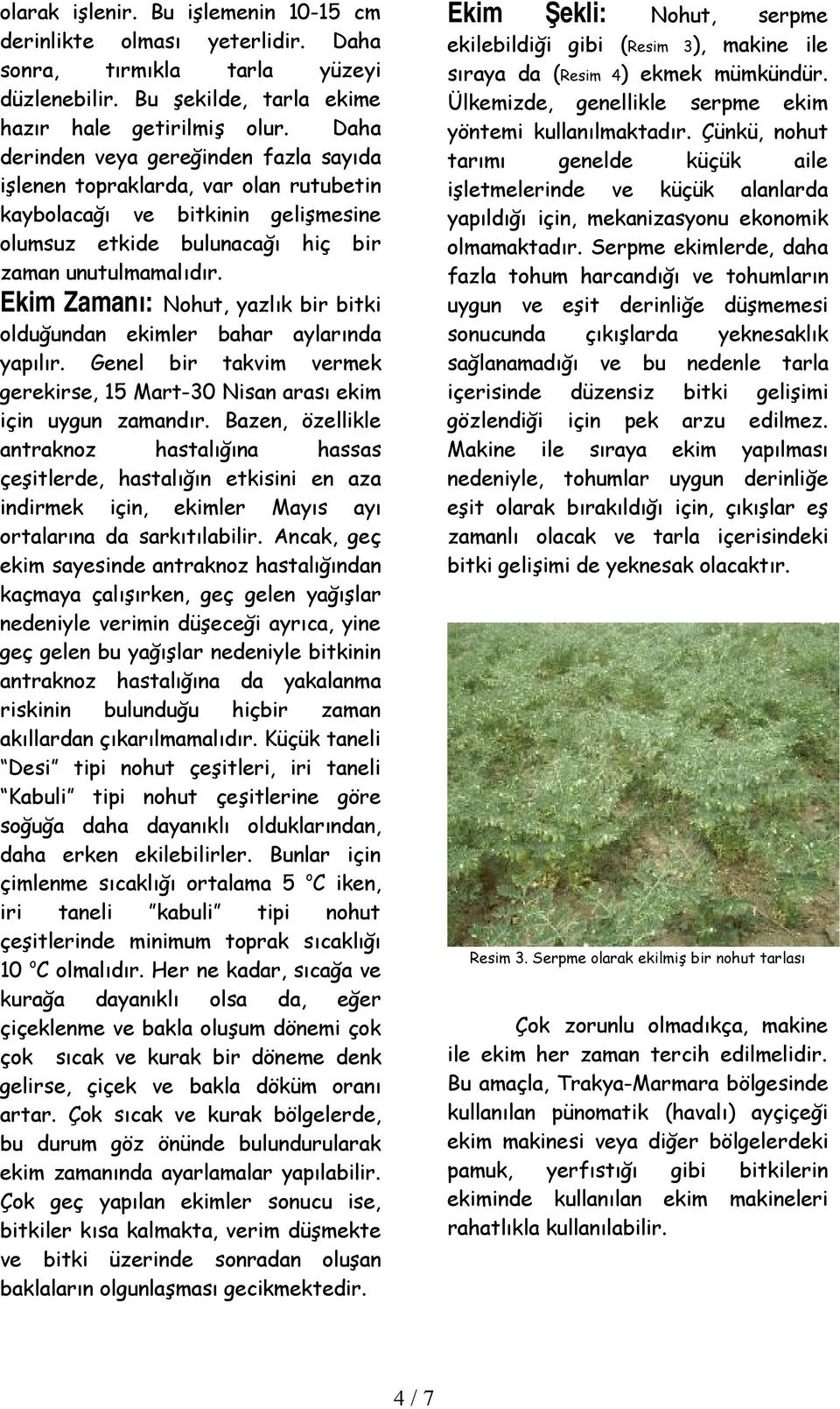 Ekim Zamanı: Nohut, yazlık bir bitki olduğundan ekimler bahar aylarında yapılır. Genel bir takvim vermek gerekirse, 15 Mart-30 Nisan arası ekim için uygun zamandır.