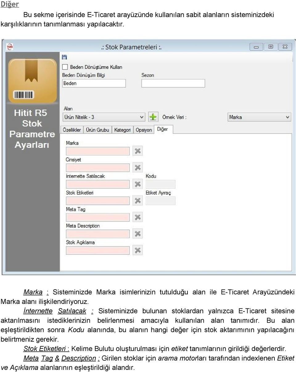 İnternette Satılacak : Sisteminizde bulunan stoklardan yalnızca E Ticaret sitesine aktarılmasını istediklerinizin belirlenmesi amacıyla kullanılan alan tanımıdır.
