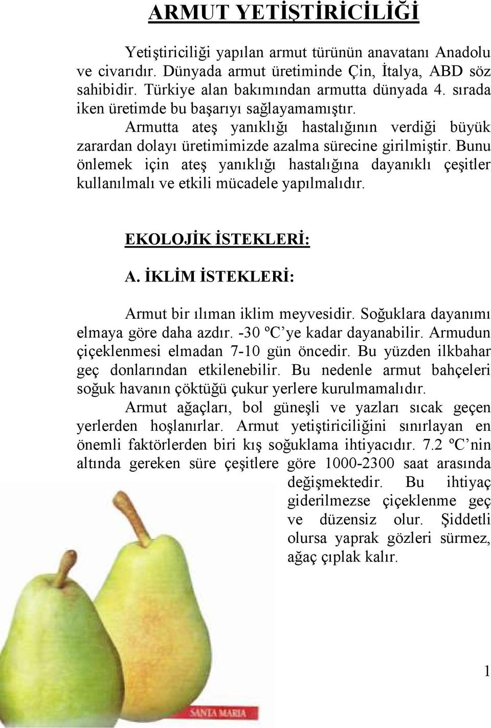 Bunu önlemek için ateş yanıklığı hastalığına dayanıklı çeşitler kullanılmalı ve etkili mücadele yapılmalıdır. EKOLOJİK İSTEKLERİ: A. İKLİM İSTEKLERİ: Armut bir ılıman iklim meyvesidir.