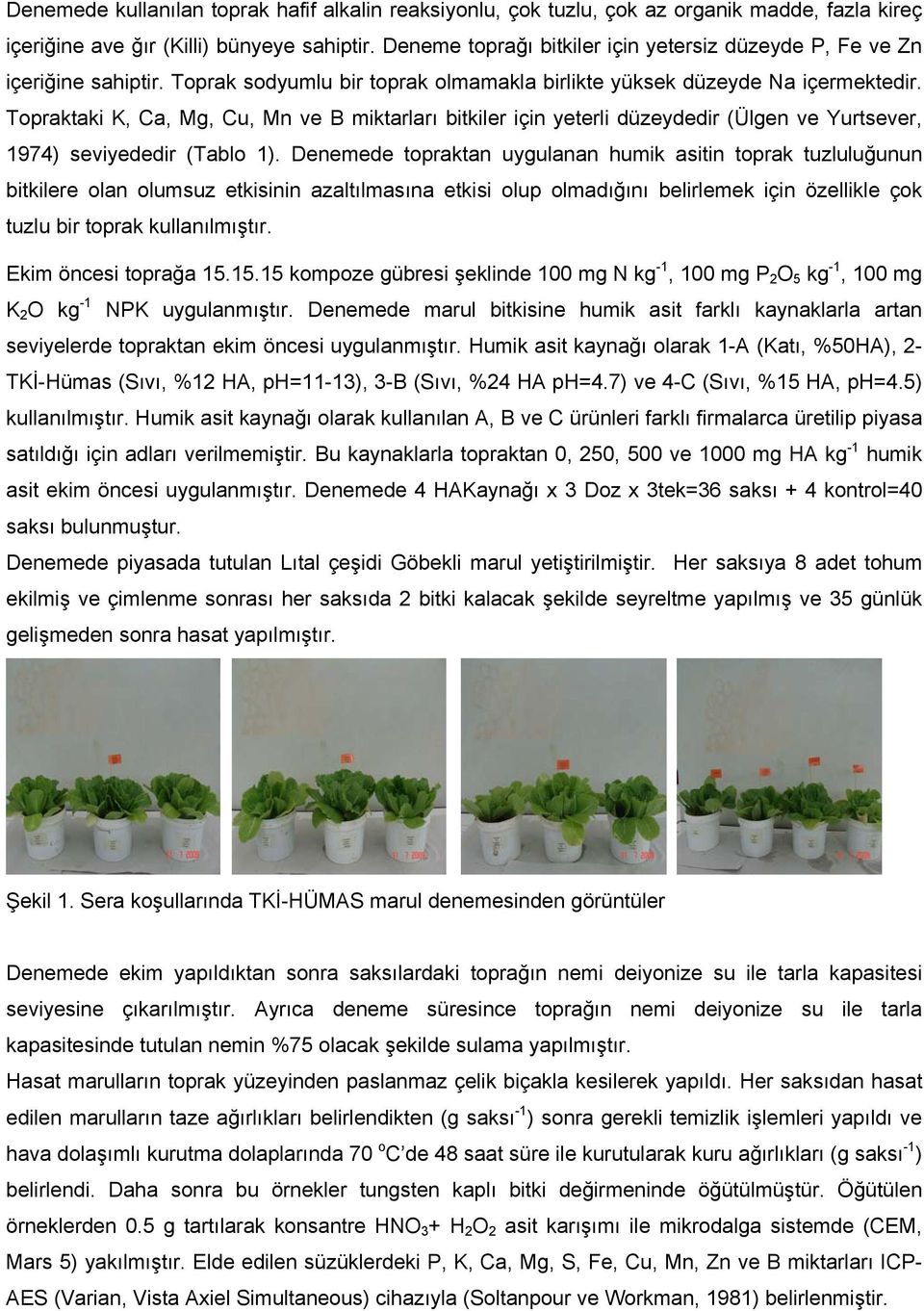 Topraktaki K, Ca, Mg, Cu, Mn ve B miktarları bitkiler için yeterli düzeydedir (Ülgen ve Yurtsever, 1974) seviyededir (Tablo 1).