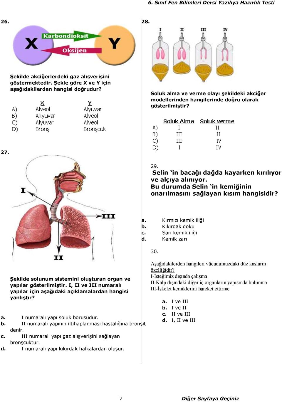 Bu durumda Selin in kemiğinin onarılmasını sağlayan kısım hangisidir? a. Kırmızı kemik iliği b. Kıkırdak doku c. Sarı kemik iliği d. Kemik zarı 30.