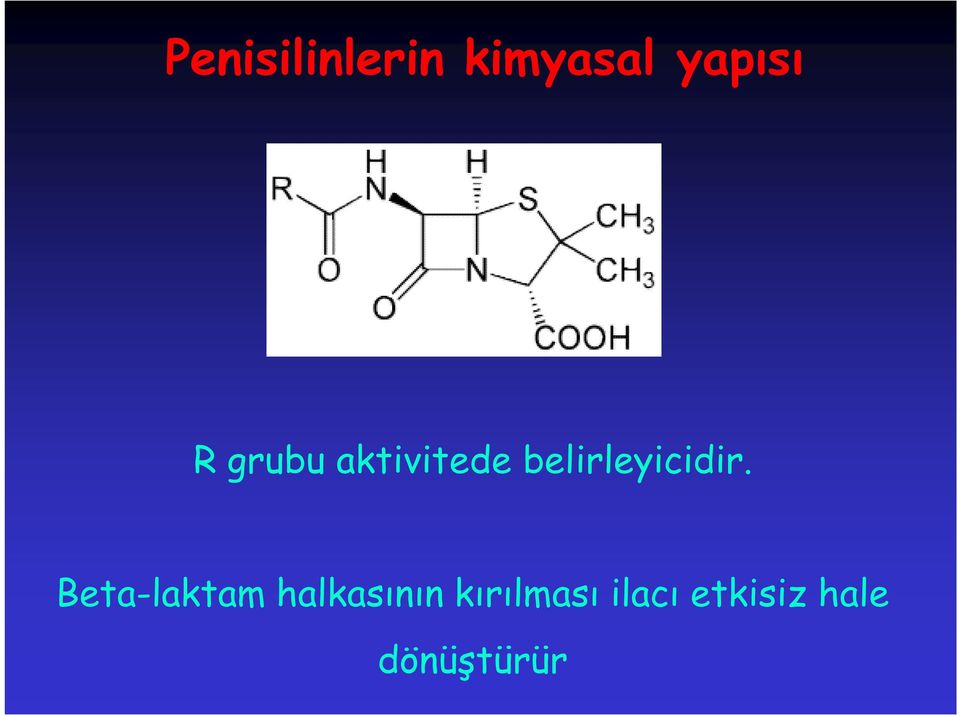 belirleyicidir.