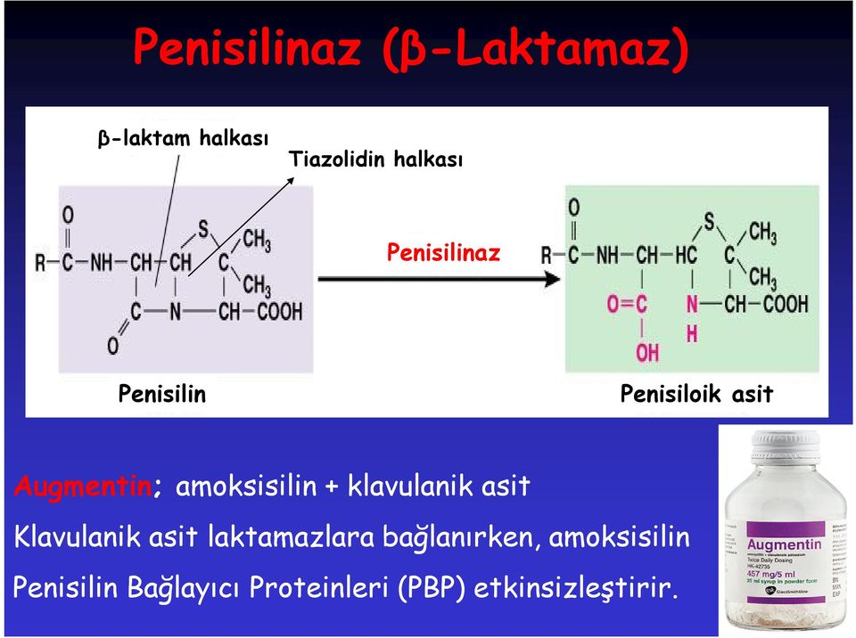 klavulanik asit Klavulanik asit laktamazlara bağlanırken,