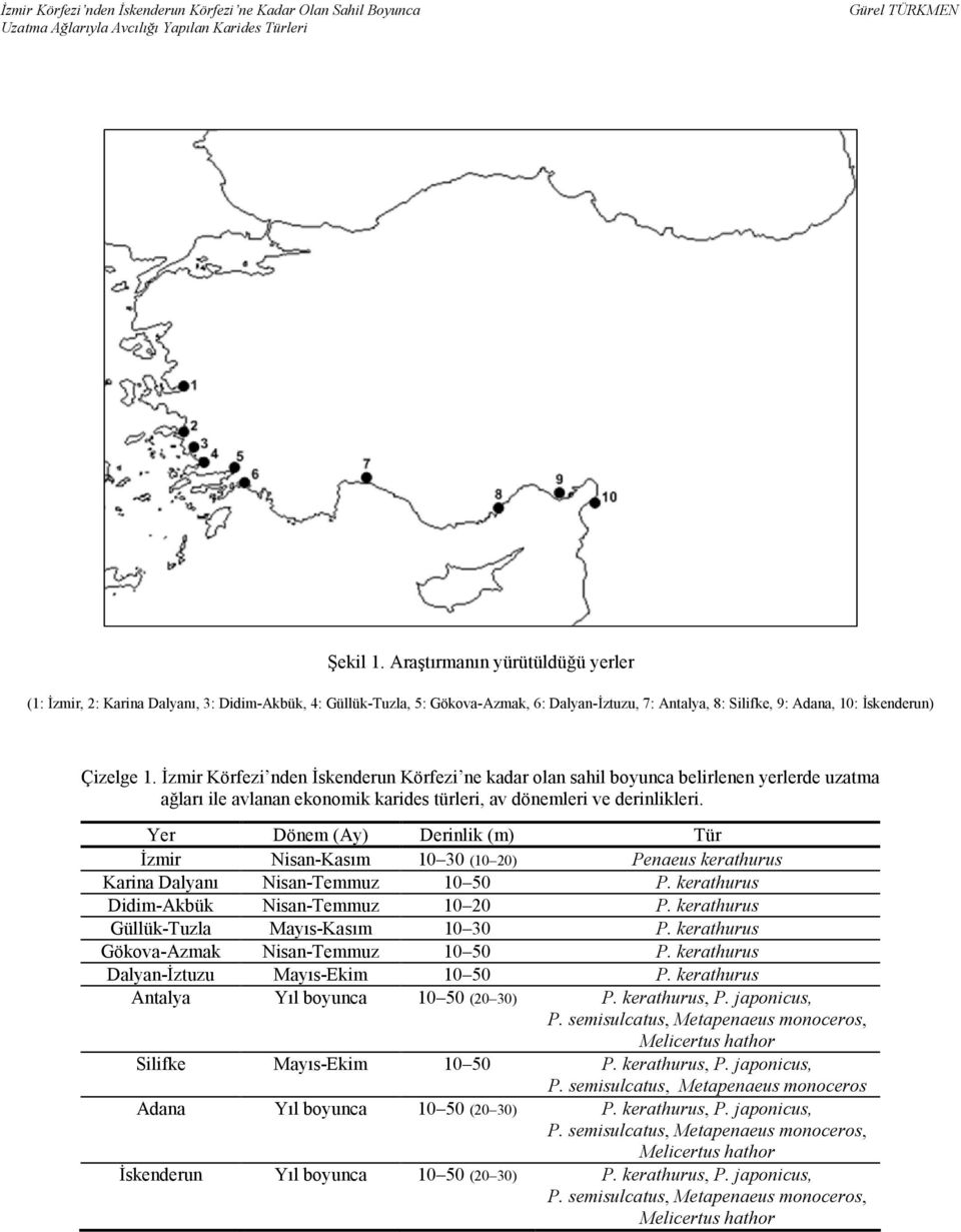 Yer Dönem (Ay) Derinlik (m) Tür zmir Nisan-Kasm 10 30 (10 20) Penaeus kerathurus Karina Dalyan Nisan-Temmuz 10 50 P. kerathurus Didim-Akbük Nisan-Temmuz 10 20 P.