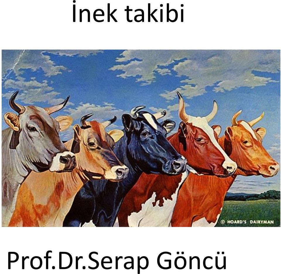 Prof.Dr.