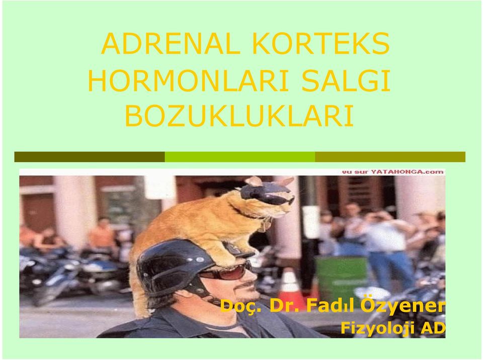 BOZUKLUKLARI Doç. Dr.