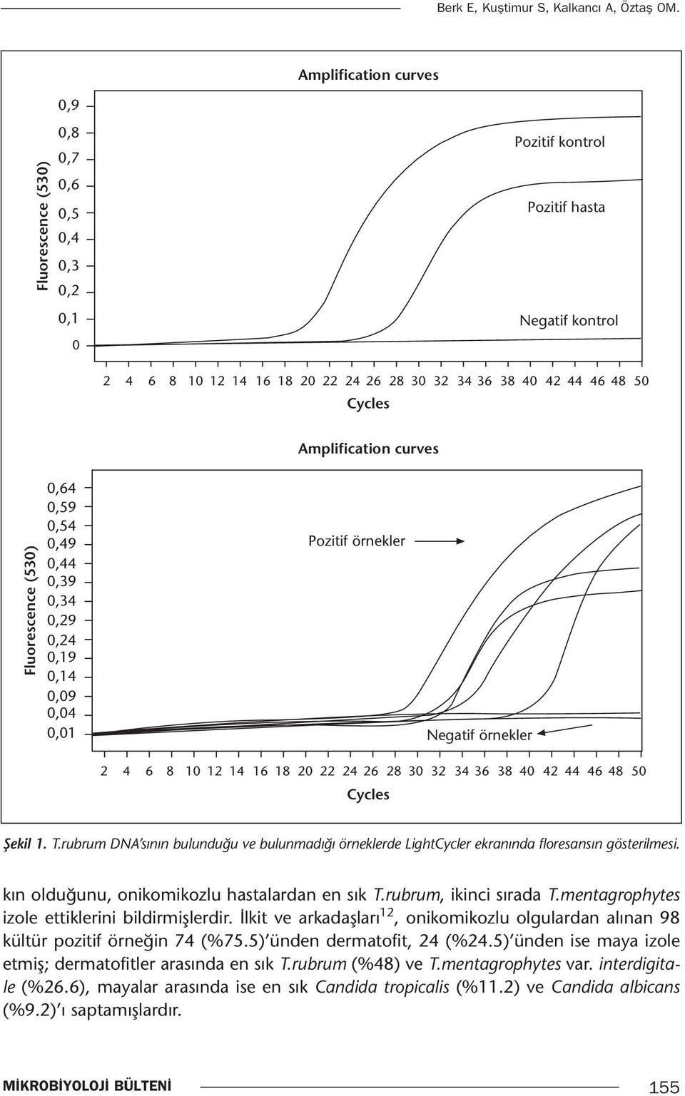 Cycles Amplification curves Fluorescence (530) 0,64 0,59 0,54 0,49 0,44 0,39 0,34 0,29 0,24 0,19 0,14 0,09 0,04 0,01 Pozitif örnekler Negatif örnekler 2 4 6 8 10 12 14 16 18 20 22 24 26 28 30 32 34