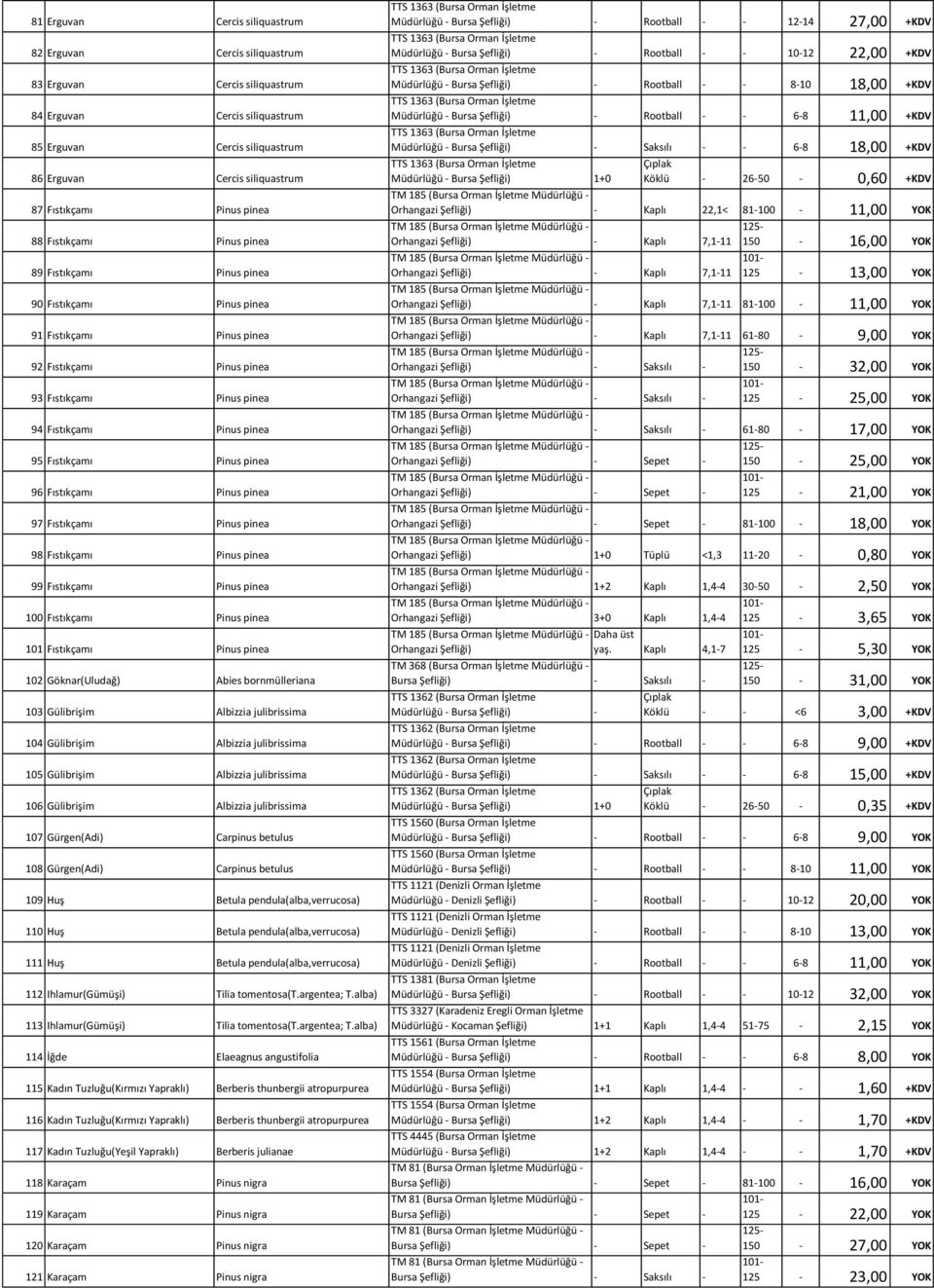 Fıstıkçamı Pinus pinea 96 Fıstıkçamı Pinus pinea 97 Fıstıkçamı Pinus pinea 98 Fıstıkçamı Pinus pinea 99 Fıstıkçamı Pinus pinea 100 Fıstıkçamı Pinus pinea 101 Fıstıkçamı Pinus pinea 102 Göknar(Uludağ)