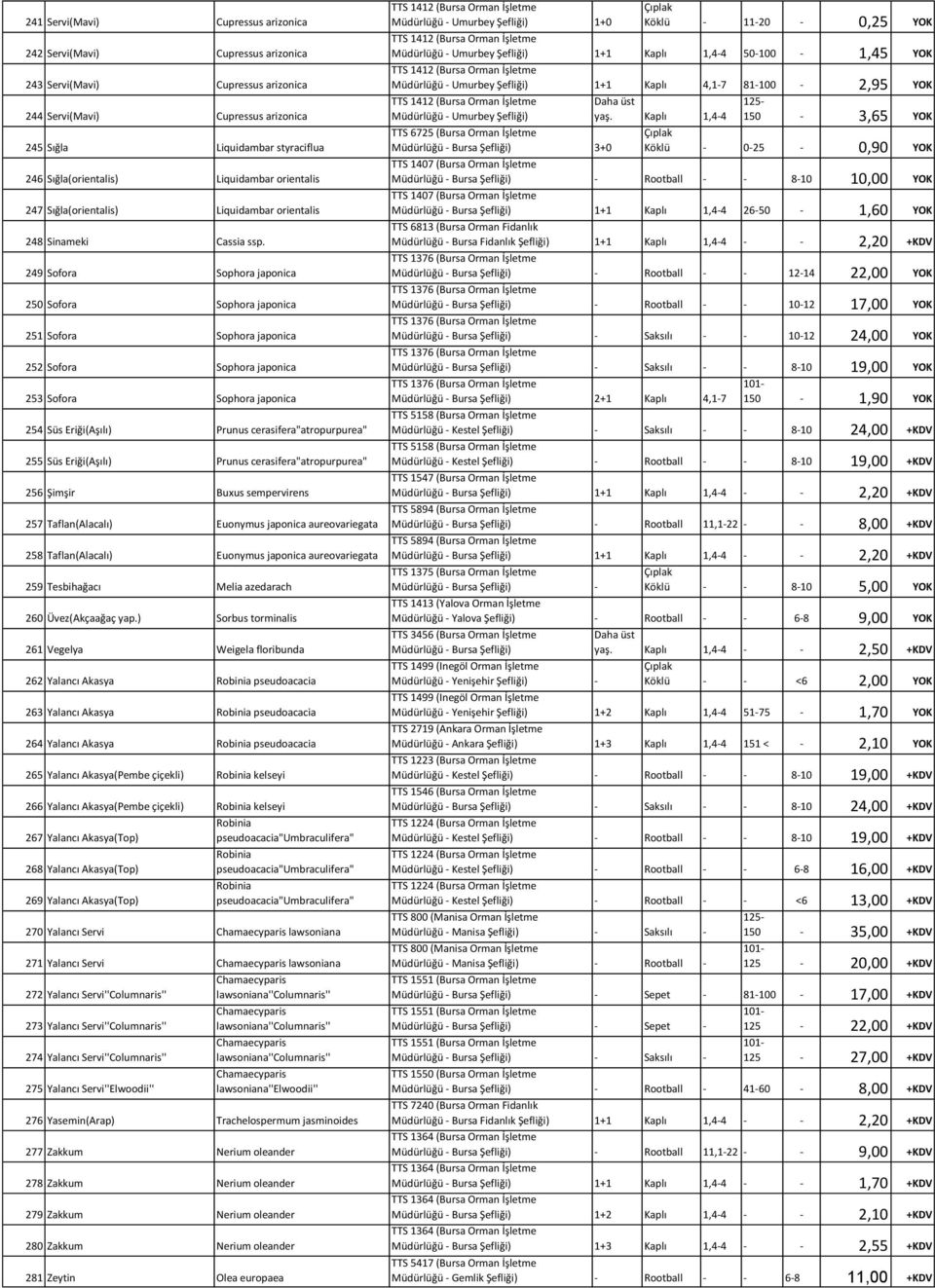 249 Sofora Sophora japonica 250 Sofora Sophora japonica 251 Sofora Sophora japonica 252 Sofora Sophora japonica 253 Sofora Sophora japonica 254 Süs Eriği(Aşılı) Prunus cerasifera"atropurpurea" 255