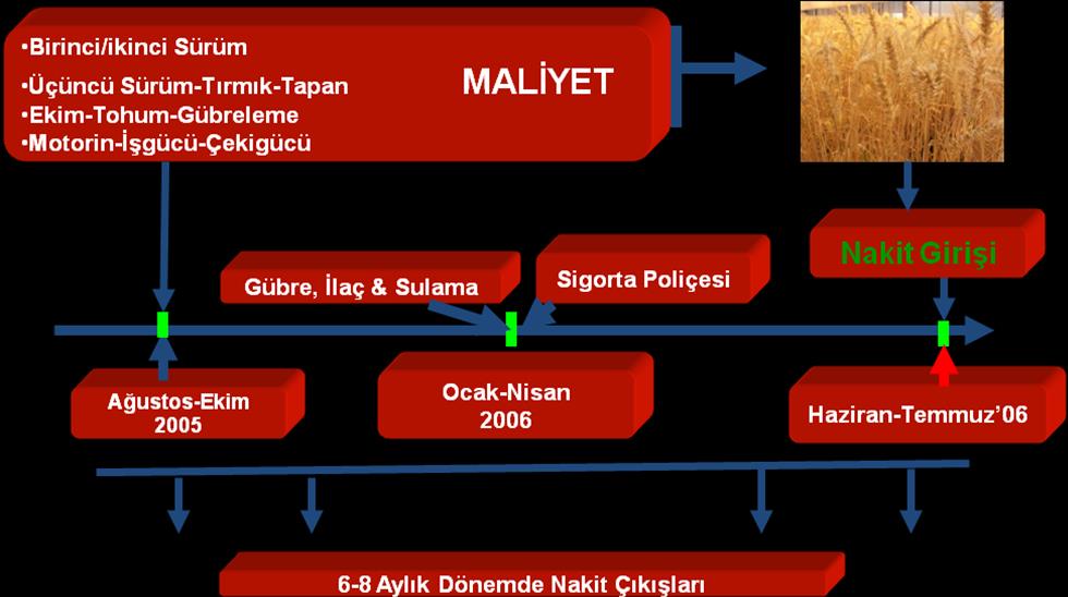 Bunun için primin ilk taksidinin veya tamamının ödenmesi koģulu aranmamaktadır. Ürün sigortaları poliçeleri genellikle Ocak-Nisan aylarında düzenlenir ve Eylül-Aralık aylarında sona erer.