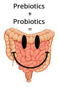 Sinbiyotikler: Probiyotik etki: Aktif yararlı bakterilerin immün sistemi upregule etmesi ile intestinal bariyer fonksiyonu iyileşir Prebiyotik etki: