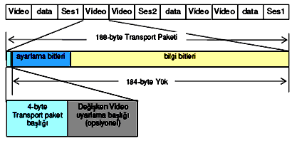 tamamlamak üzere hiçbir bilgi taģımayan uzunluk uyarlama bitleri ve arkadan sıkıģtırılmıģ görüntü veya ses bilgisini taģıyan bitler gelir.
