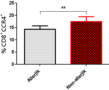 30 Şekil 4-7: PMA/iyonomisin uyarımı sonrası CD8 + T hücrelerin CCR3 yüzey ekspresyon değişimleri (*p= 0,04) 4.2.3. Allerjik ve Non-allerjik Astım Hasta Gruplarının Karşılaştırılması Farklı hasta
