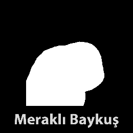 Araştırma Tasarımı 25% Bulguların Paylaşımı 20% İçgörüler ve Öneriler 35% İş Sonuçları, Aksiyonlar 20% 1.