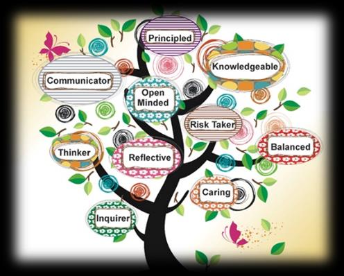 PYP Our first theme Who we are is an inquiry into the nature of the self; beliefs and values; personal, physical, mental, social and spiritual health;