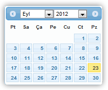 Rol Açılır Listesi Uyruğu alanında, Sistem e kayıt olacak BD nin uyruk bilgisi belirtilir.