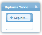 olarak (varsa) alternatif bir e-posta bilgisi belirtilir. Akademik Unvan alanında, BD nin (varsa) akademik unvan bilgisi belirtilir.