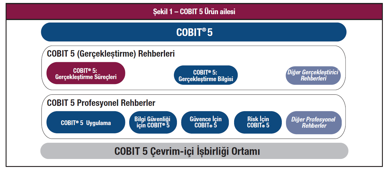 COBIT 5