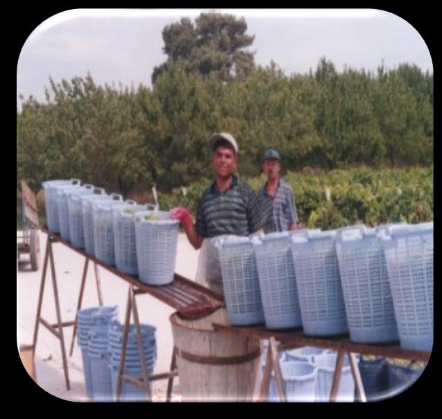 Özellikle üzümün kurutulmasında önişlem olarak ısıtılmış sodyum hidroksit çözeltisi ve potasyum karbonat ile zeytinyağı karışımı (potas) kullanılmaktadır.