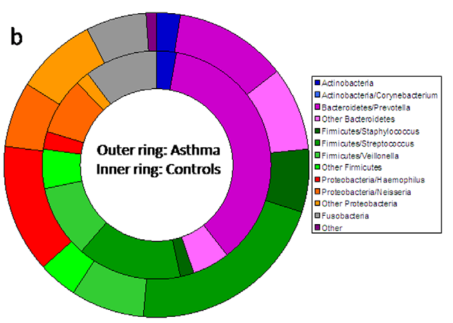 Microbial communities in healthy controls and asthmatic airways Markus Hilty PLoS ONE