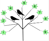Kuşlar Üç kuş, bir ağacın dallarında oturmaktadır. Her üç saniyede bir, kuşlardan ikisi bir yanındaki dala geçebilmektedir.