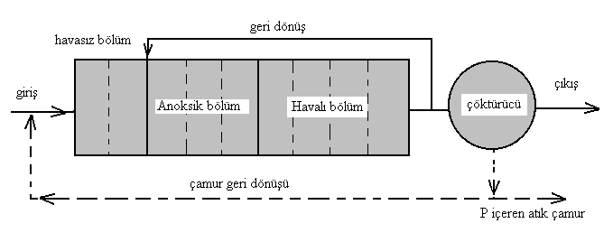 denitrifikasyon için anoksik bölüm de içermektedir. Anoksik bölümde kalma zamanı yaklaşık olarak bir saattir.