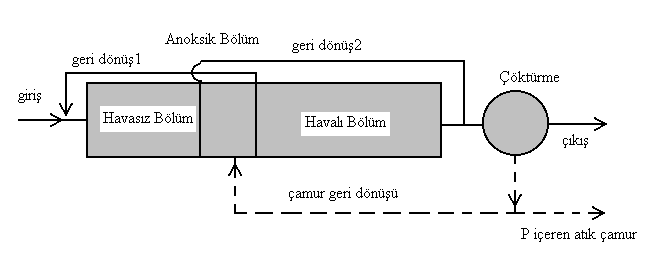 Şekil 41: UCT prosesi 4.8.4- VIP Prosesi VIP prosesi, geri döngüler hariç A 2 /O ve UCT proseslerine benzer. Aktif çamur geri dönüşü, havalı bölüm geri dönüşü ile birlikte anoksik bölüme verilir.