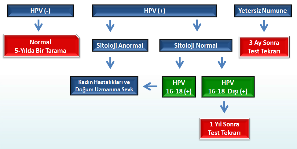 Sağlık Bakanlığı HPV bazlı