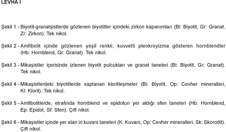 Þekil 3 - Mikaþistler içerisinde izlenen biyotit pulcuklarý ve granat taneleri (Bi: Biyotit, Gr: Granat). Tek nikol.