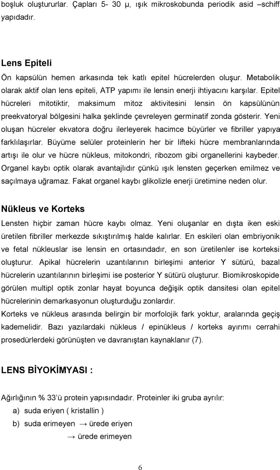 Epitel hücreleri mitotiktir, maksimum mitoz aktivitesini lensin ön kapsülünün preekvatoryal bölgesini halka şeklinde çevreleyen germinatif zonda gösterir.