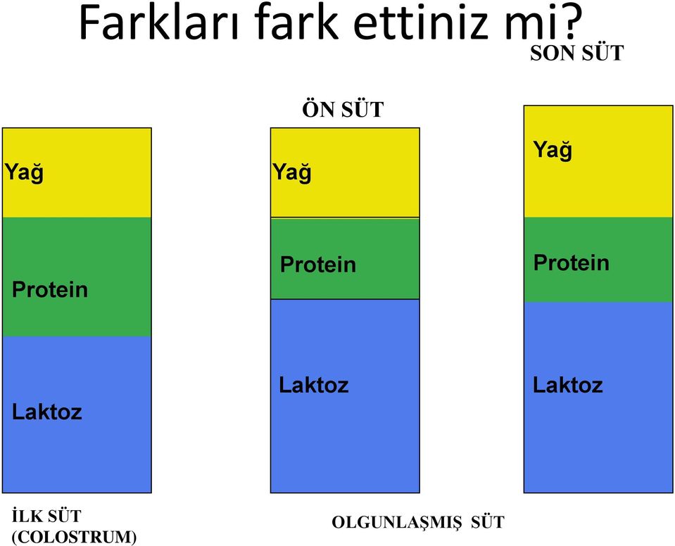 Protein Protein Protein Laktoz