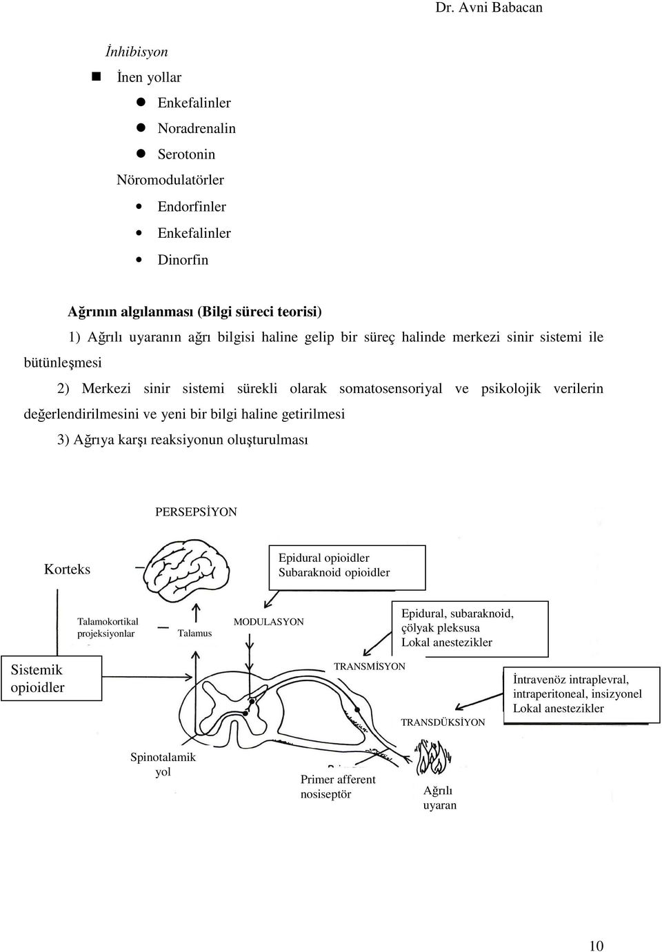 getirilmesi 3) Ağrıya karşı reaksiyonun oluşturulması PERSEPSĐYON Korteks Epidural opioidler Subaraknoid opioidler Talamokortikal projeksiyonlar Talamus MODULASYON Epidural, subaraknoid, çölyak