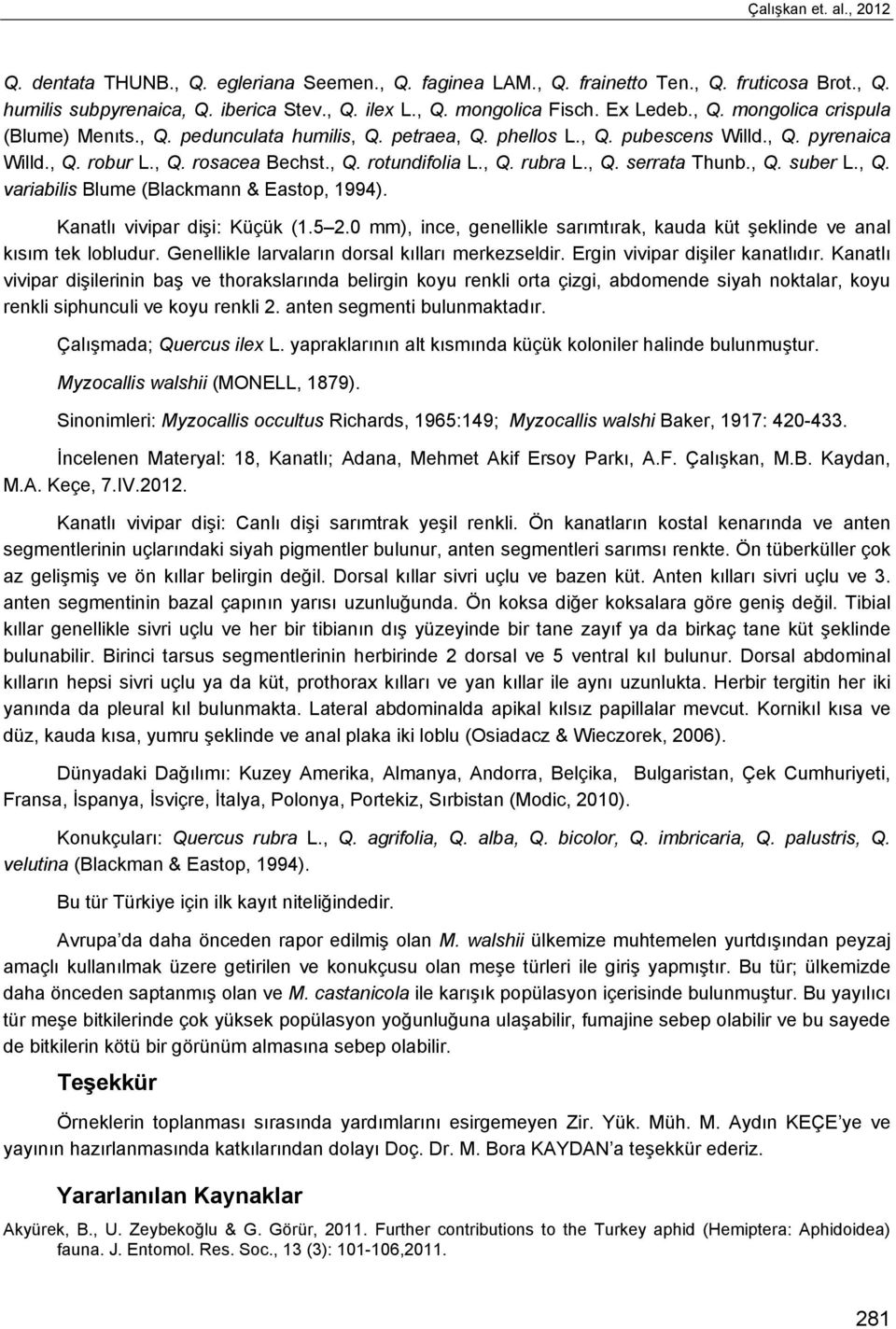 , Q. serrata Thunb., Q. suber L., Q. variabilis Blume (Blackmann & Eastop, 1994). Kanatlı vivipar dişi: Küçük (1.5 2.0 mm), ince, genellikle sarımtırak, kauda küt şeklinde ve anal kısım tek lobludur.