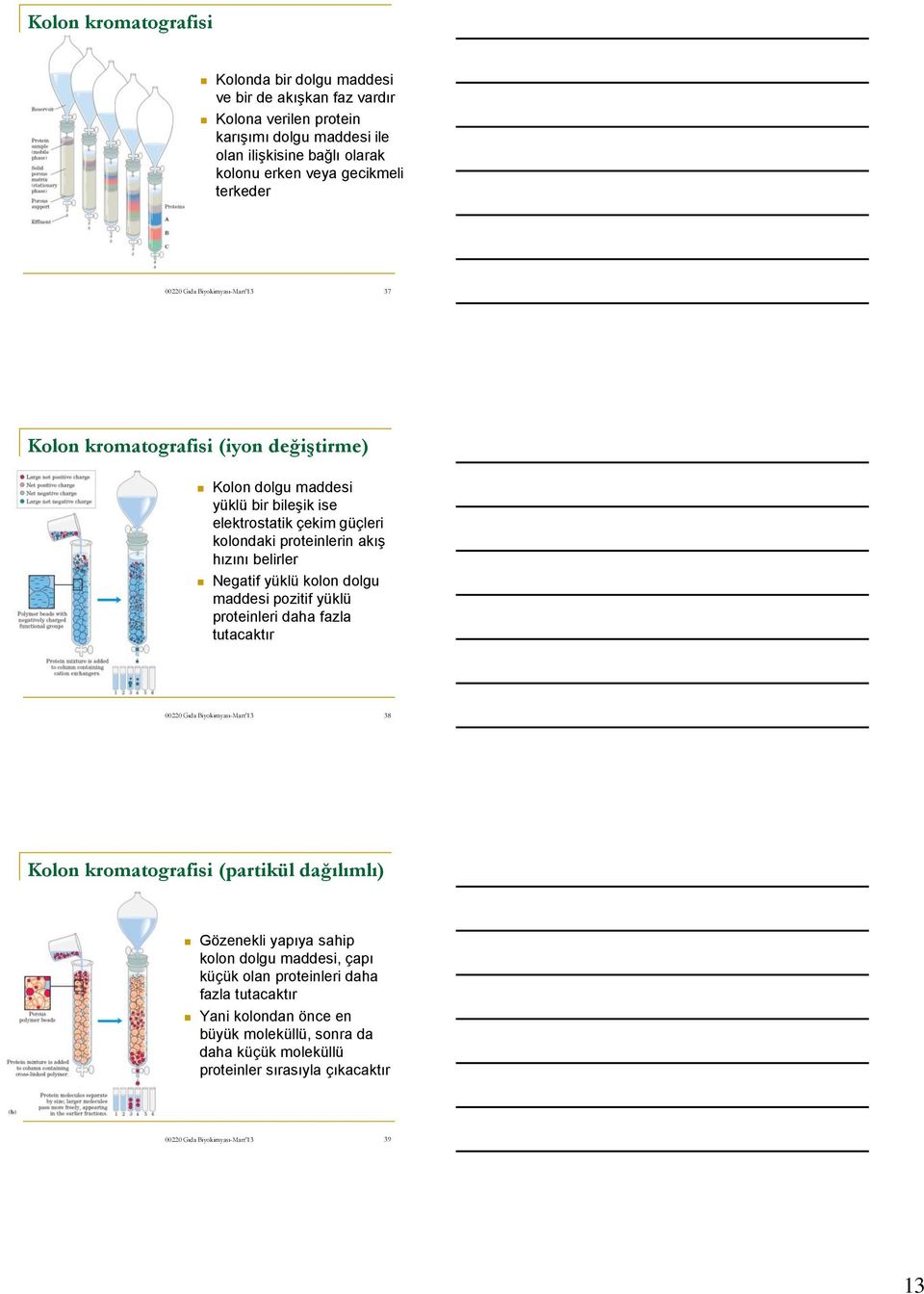 hızını belirler Negatif yüklü kolon dolgu maddesi pozitif yüklü proteinleri daha fazla tutacaktır 38 Kolon kromatografisi (partikül dağılımlı) Gözenekli yapıya sahip