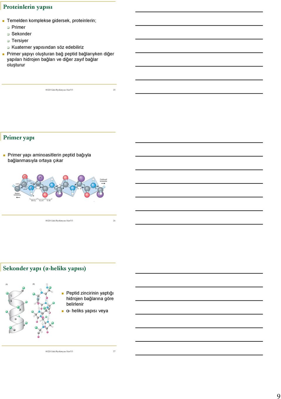 bağlar oluşturur 25 Primer yapı Primer yapı aminoasitlerin peptid bağıyla bağlanmasıyla ortaya çıkar 26