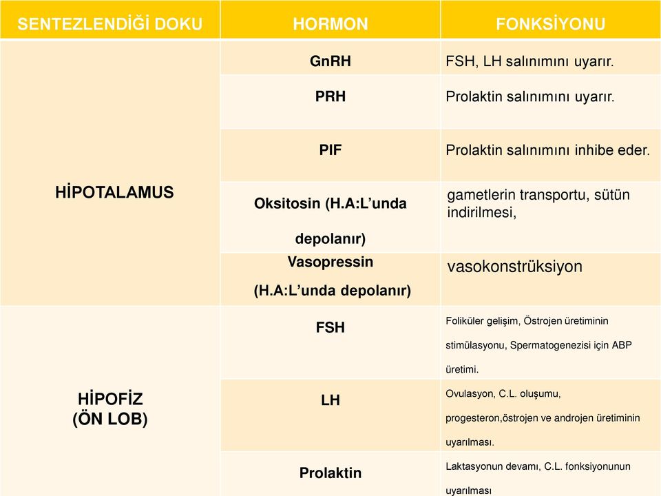 A:L unda depolanır) FSH LH Prolaktin gametlerin transportu, sütün indirilmesi, vasokonstrüksiyon Foliküler gelişim, Östrojen