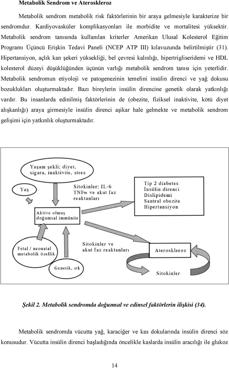 Metabolik sendrom tanısında kullanılan kriterler Amerikan Ulusal Kolesterol Eğitim Programı Üçüncü Erişkin Tedavi Paneli (NCEP ATP III) kılavuzunda belirtilmiştir (31).