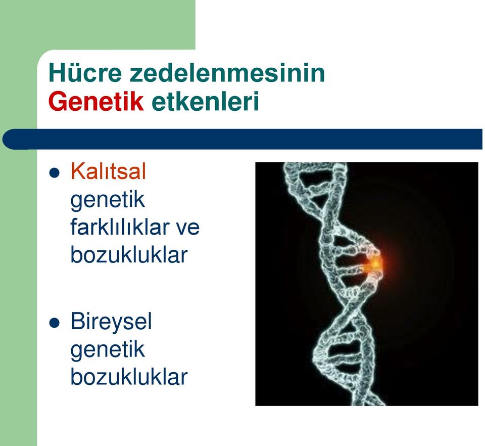 genetik farklılıklar ve