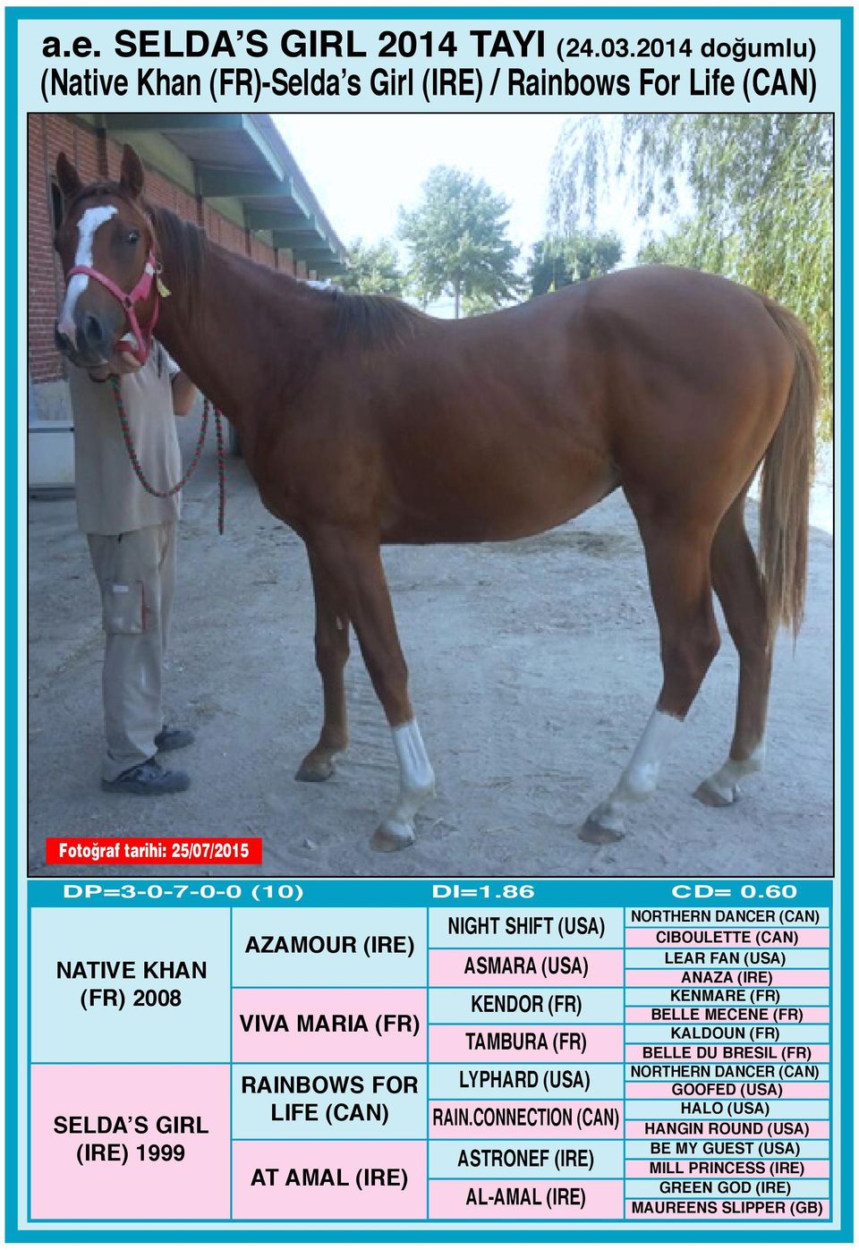 60 NATIVE KHAN (FR) 2008 SELDA S GIRL (IRE) 1999 AZAMOUR (IRE) VIVA MARIA (FR) RAINBOWS FOR LIFE (CAN) AT AMAL (IRE) NIGHT SHIFT (USA) ASMARA (USA) KENDOR (FR)