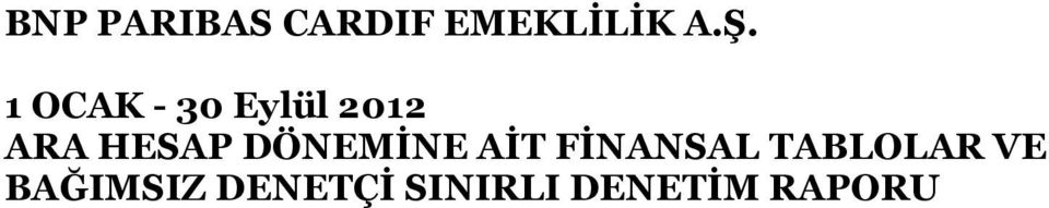 DÖNEMİNE AİT FİNANSAL TABLOLAR VE