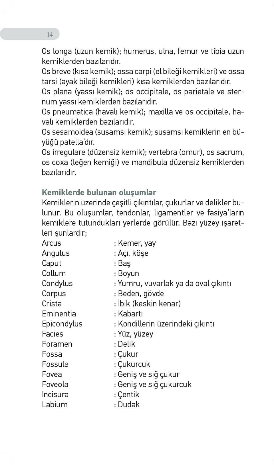 Os plana (yassı kemik); os occipitale, os parietale ve sternum yassı kemiklerden bazılarıdır. Os pneumatica (havalı kemik); maxilla ve os occipitale, havalı kemiklerden bazılarıdır.