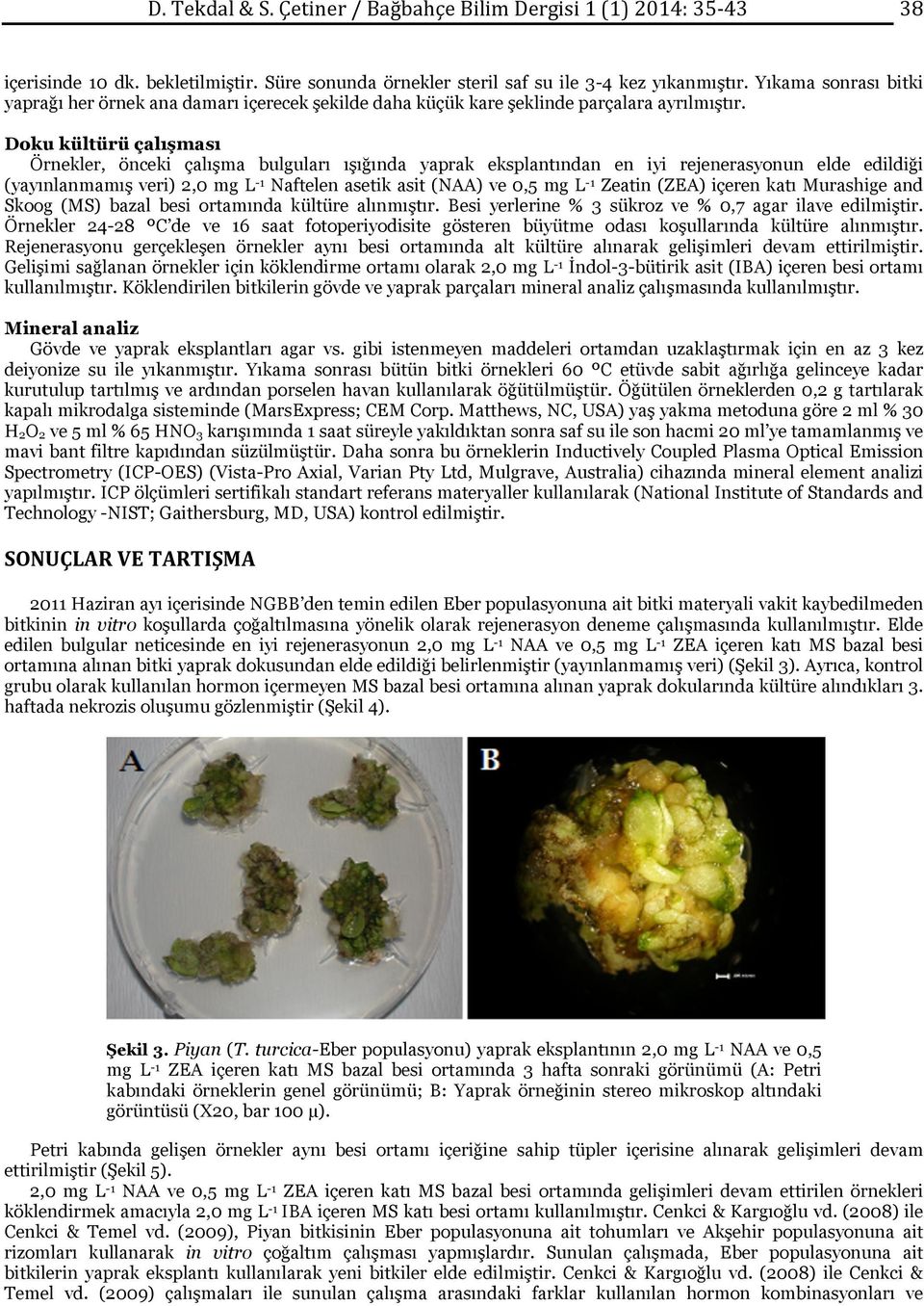 Doku kültürü çalışması Örnekler, önceki çalışma bulguları ışığında yaprak eksplantından en iyi rejenerasyonun elde edildiği (yayınlanmamış veri) 2,0 mg L -1 Naftelen asetik asit (NAA) ve 0,5 mg L -1