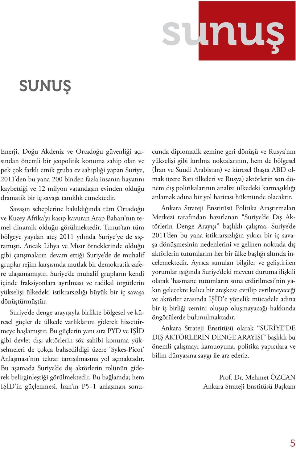 Savaşın sebeplerine bakıldığında tüm Ortadoğu ve Kuzey Afrika yı kasıp kavuran Arap Baharı nın temel dinamik olduğu görülmektedir.