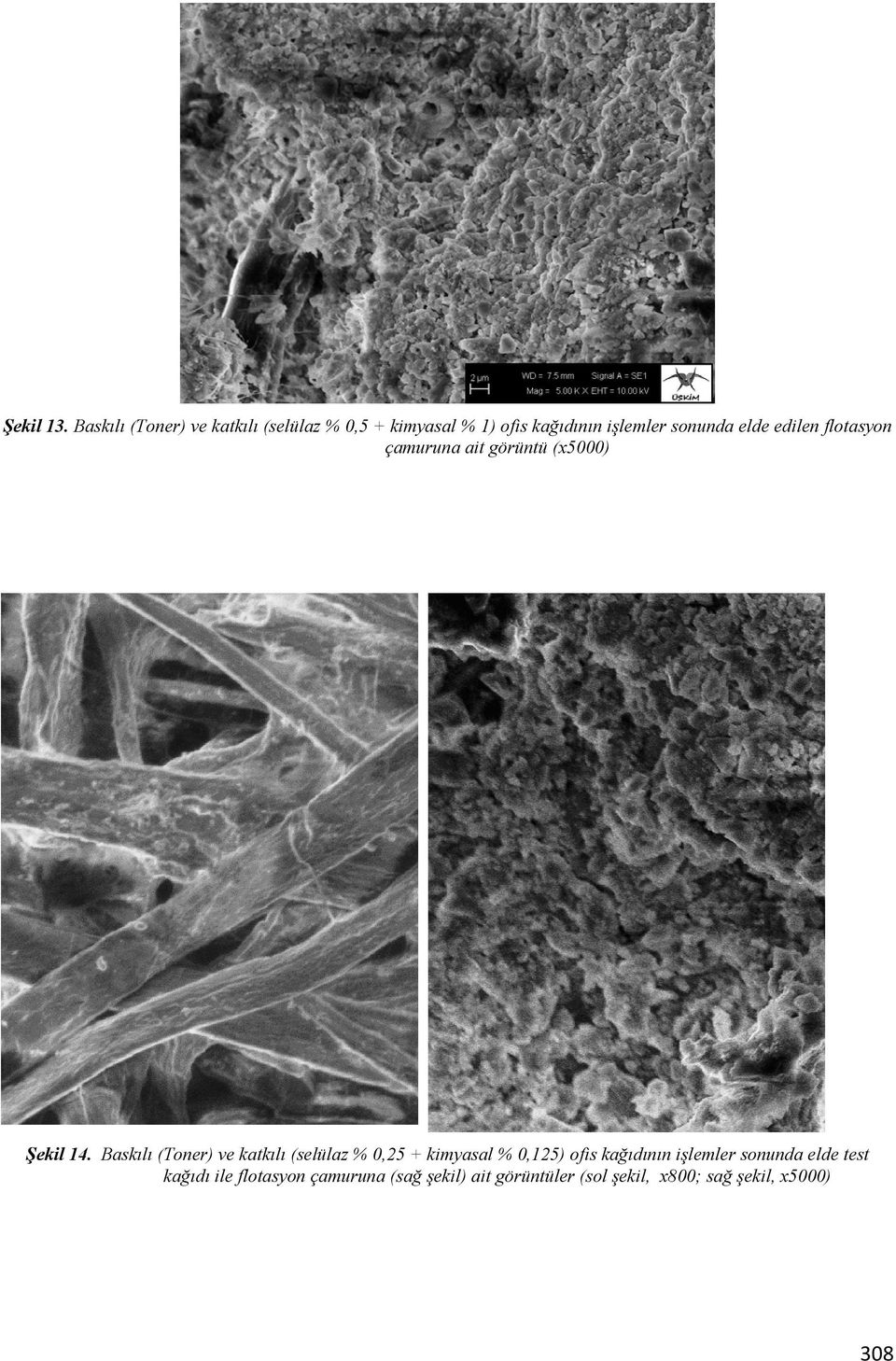 elde edilen flotasyon çamuruna ait görüntü (x5000) Şekil 14.