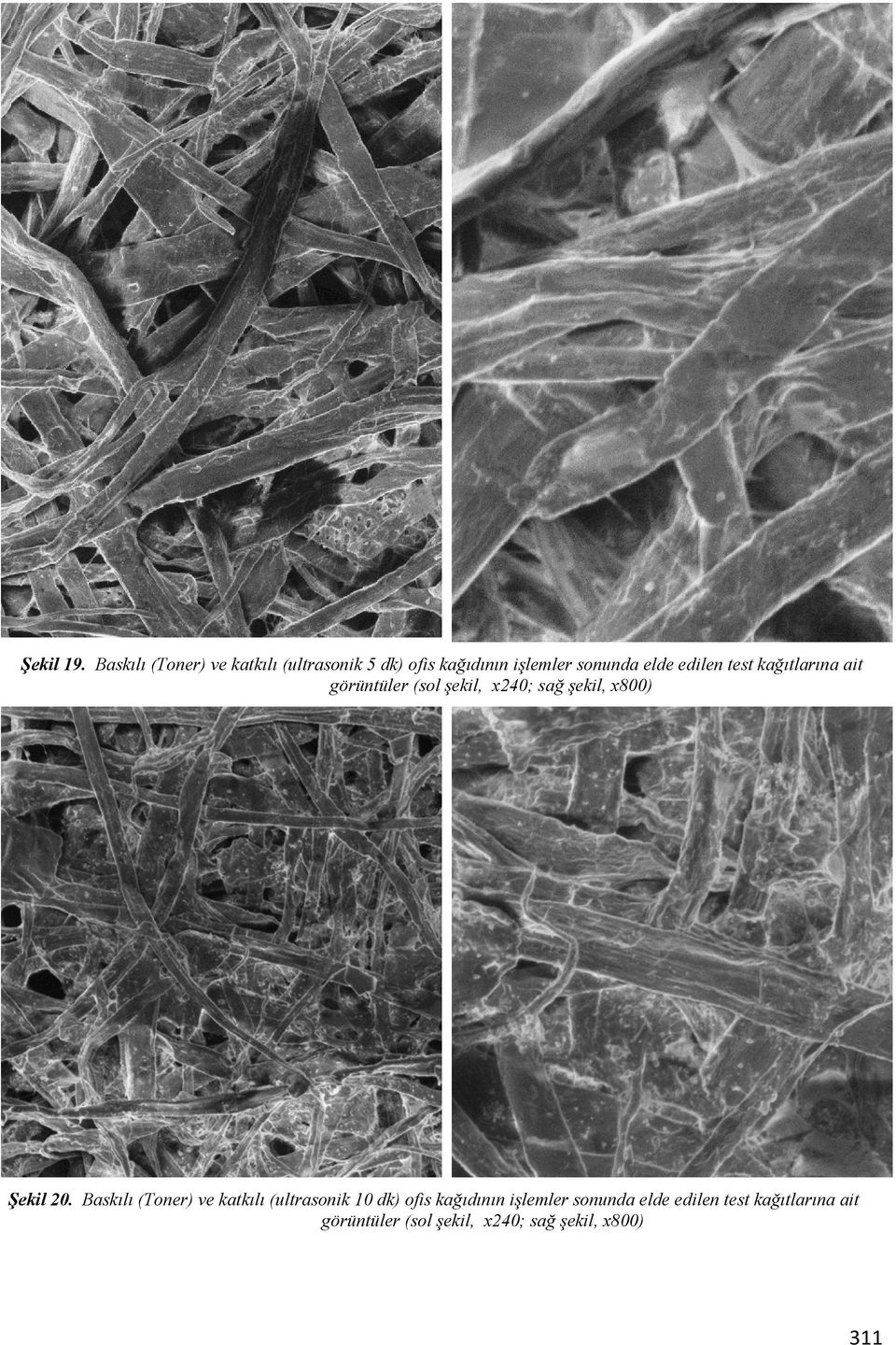 edilen test kağıtlarına ait görüntüler (sol şekil, x240; sağ şekil, x800) Şekil 20.