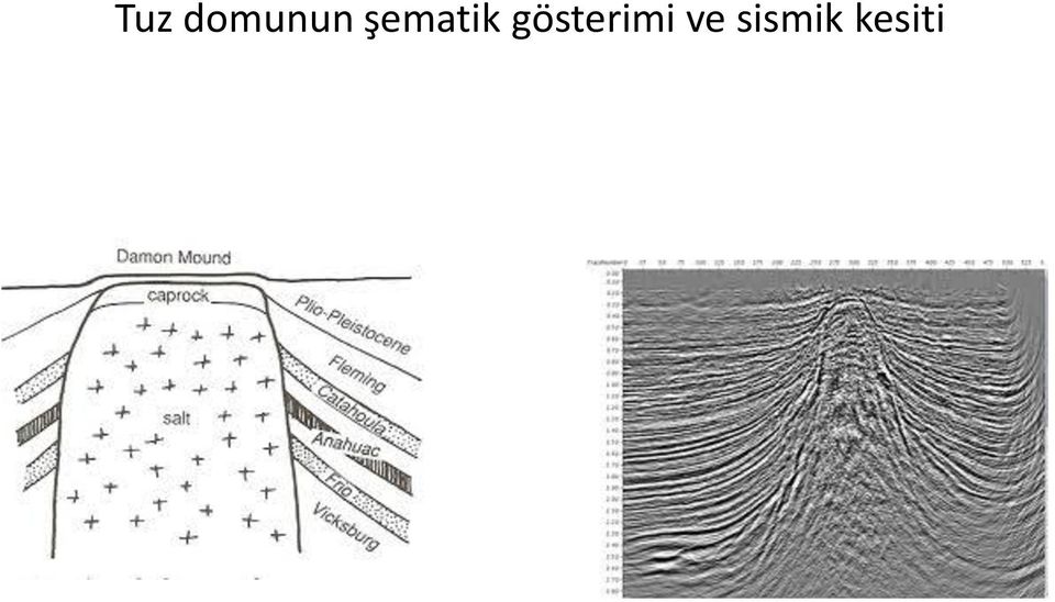 gösterimi